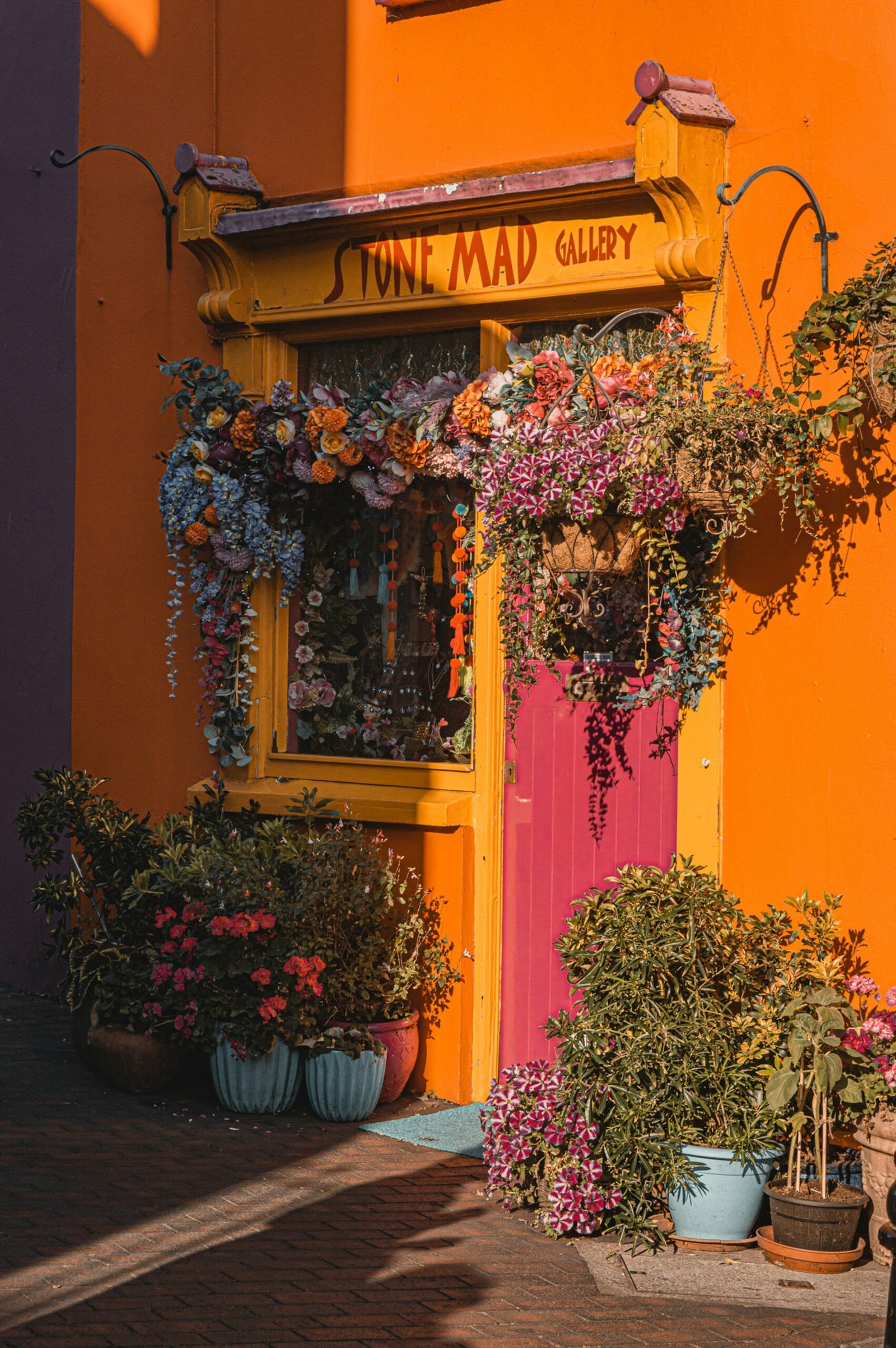 Flowers in Kinsale