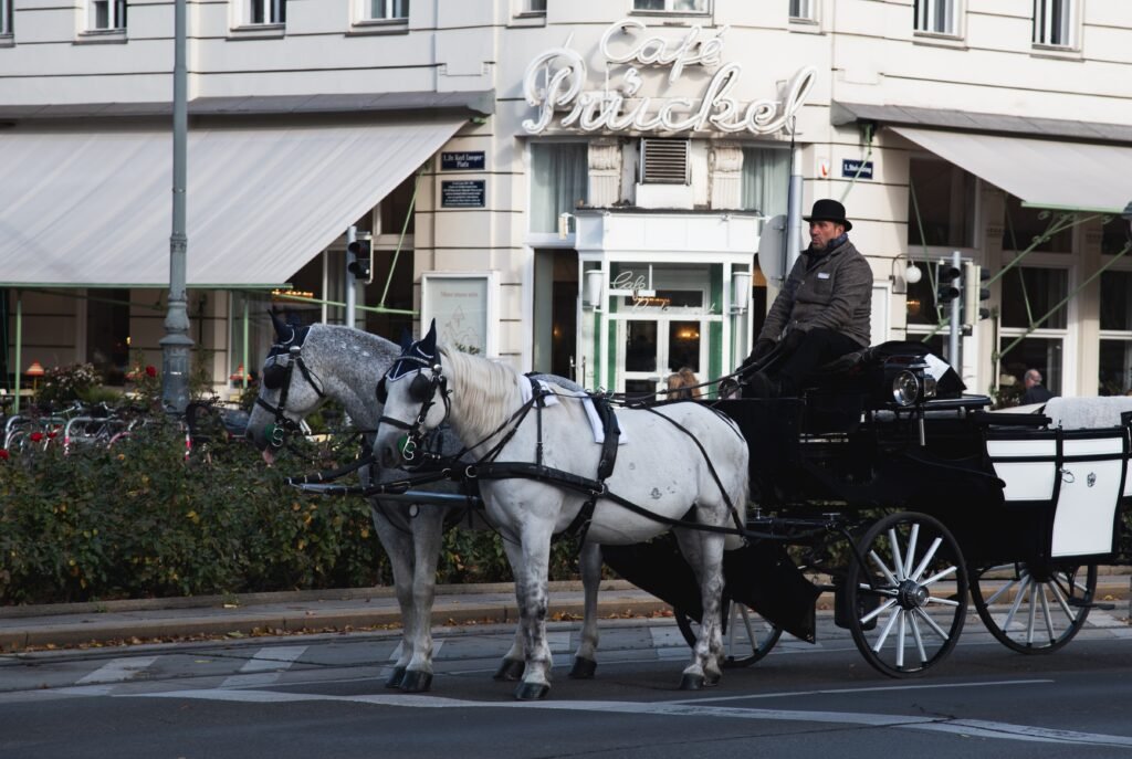 Horse-drawn carriage on a historic Vienna street with a coffeehouse in the background